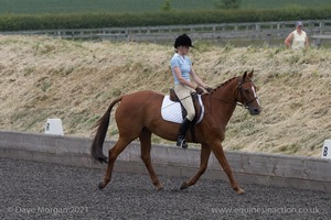 ISIS Dressage Challenge 2008